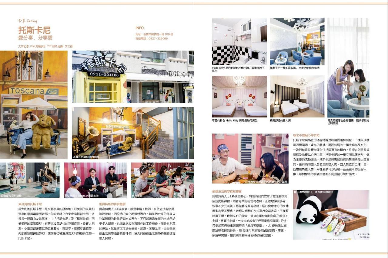 台東民宿托斯卡尼療癒館toscana Mary 親子寵物友善可包棟卡拉ok自動麻將 Taitung Экстерьер фото